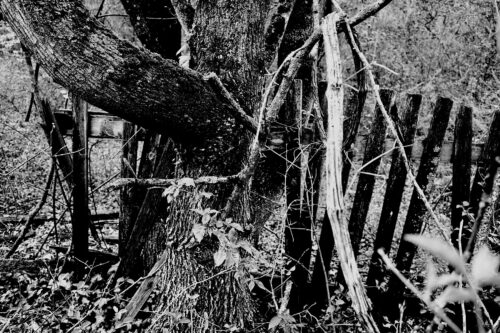 Leithaberg_04