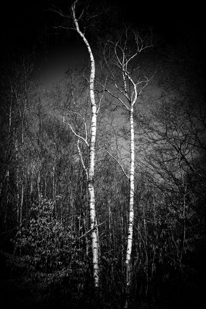 Leithaberg_02