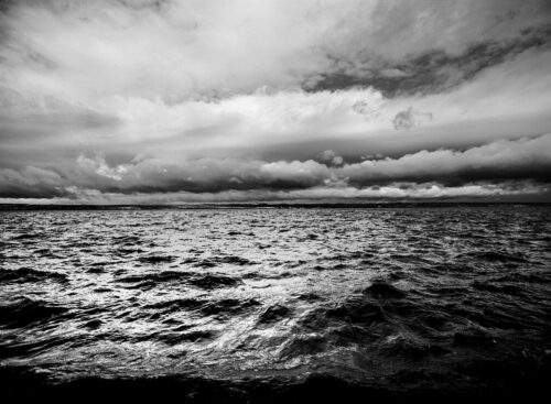 Neusiedler See_07